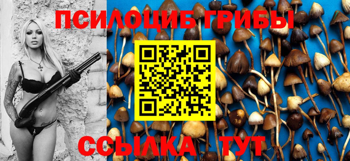 Гусев  Галлюциногенные грибы MAGIC MUSHROOMS  Вход с VPN  где найти наркотики  Галлюциногенные грибы Psilocybine cubensis 