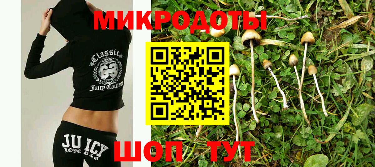 Псилоцибиновые грибы Cubensis Гусев